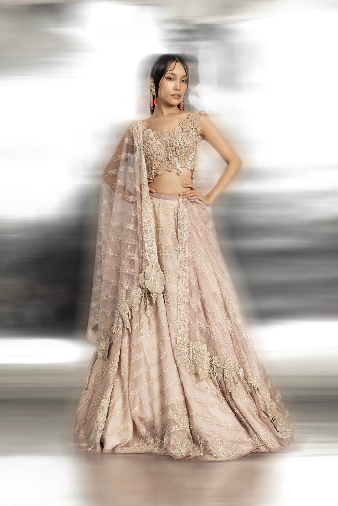 Silk Organza Lehenga with 3D embroidery detailing of the blouse