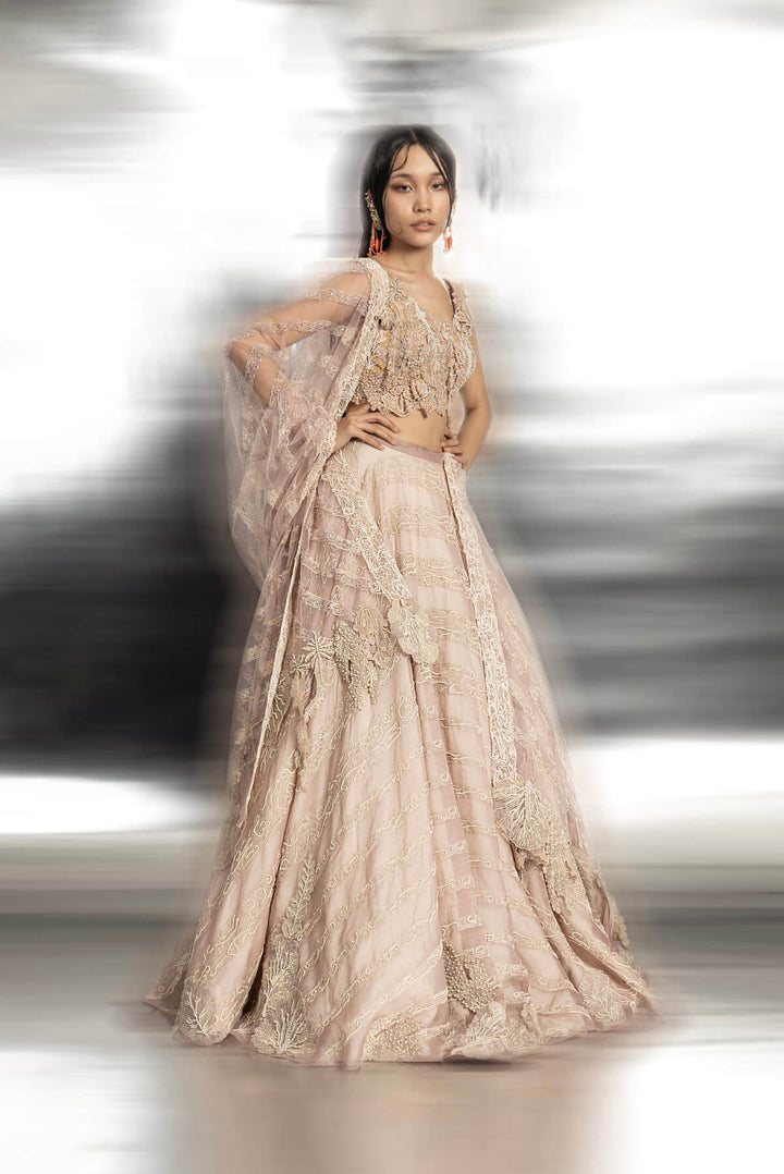 Silk Organza Lehenga with 3D embroidery detailing of the blouse