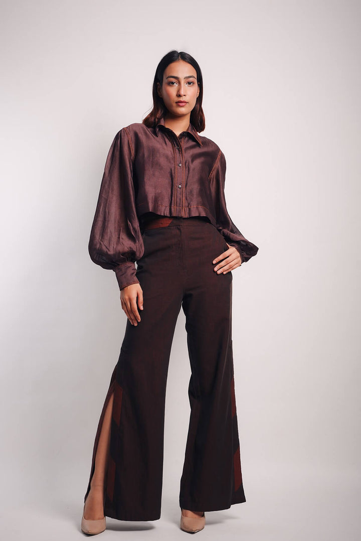 Brown Crop Saree Shirt Pants Set