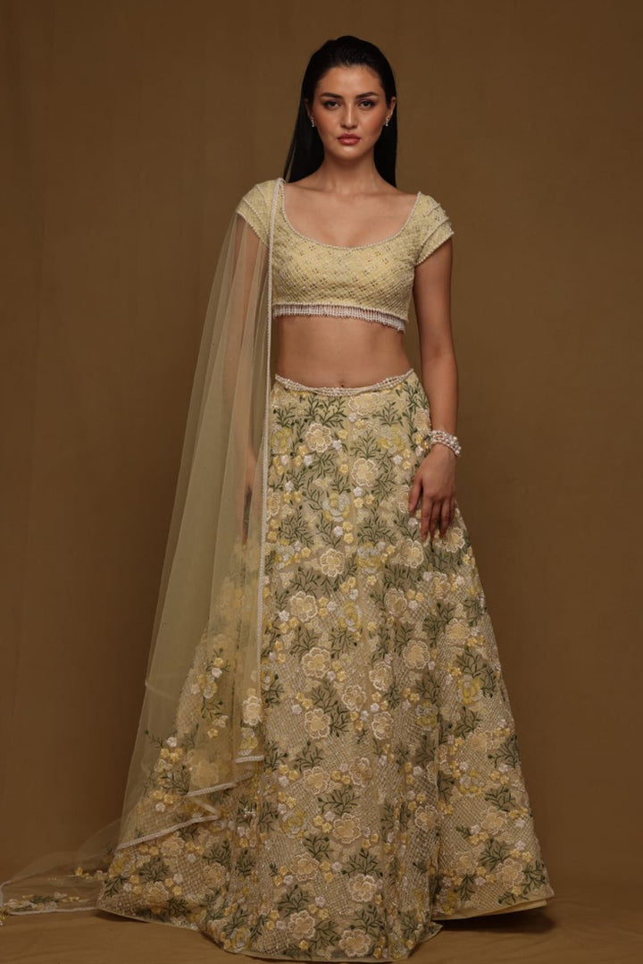 Beaded skirt with blouse and dupatta