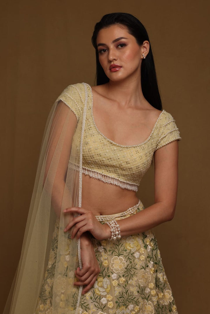 Beaded skirt with blouse and dupatta